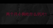 两个月小狗吃什么钙片