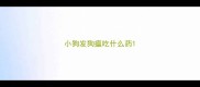 小狗发狗瘟吃什么药