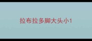 拉布拉多脚大头小