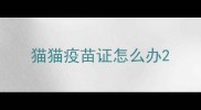 猫猫疫苗证怎么办