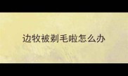 边牧被剃毛啦怎么办