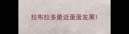 拉布拉多最近蛋蛋发黑
