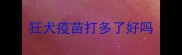 狂犬疫苗打多了好吗