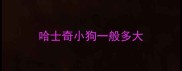 哈士奇小狗一般多大
