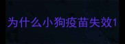为什么小狗疫苗失效