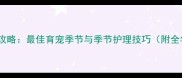 金毛犬饲养全攻略最佳育宠季节与季节护理技巧附全年养护方案