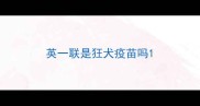 英一联是狂犬疫苗吗