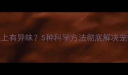 拉布拉多身上有异味5种科学方法彻底解决宠物体味问题
