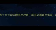 两个月大幼犬喂养全攻略新手必看超全指南