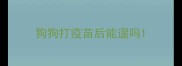 狗狗打疫苗后能遛吗