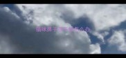 猫咪鼻子很干燥怎么办