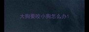 大狗要咬小狗怎么办