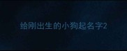 给刚出生的小狗起名字