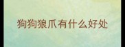 狗狗狼爪有什么好处