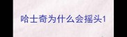 哈士奇为什么会摇头