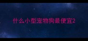 什么小型宠物狗最便宜