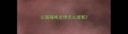 公猫猫咪发情怎么缓解
