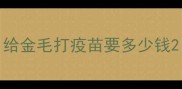 给金毛打疫苗要多少钱