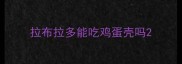 拉布拉多能吃鸡蛋壳吗