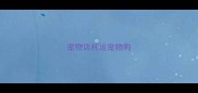 宠物店托运宠物狗