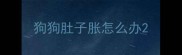 狗狗肚子胀怎么办