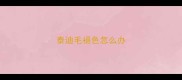 泰迪毛褪色怎么办