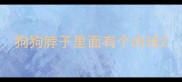 狗狗脖子里面有个肉球