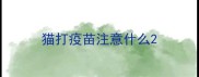 猫打疫苗注意什么