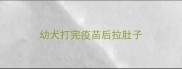 幼犬打完疫苗后拉肚子