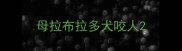 母拉布拉多犬咬人