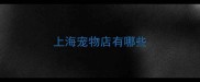 上海宠物店有哪些