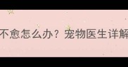 3个月前被狗咬后皮肤瘙痒不愈怎么办宠物医生详解反复发作的深层处理方案