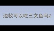 边牧可以吃三文鱼吗