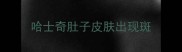 哈士奇肚子皮肤出现斑