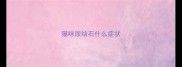 猫咪尿结石什么症状