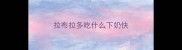 拉布拉多吃什么下奶快