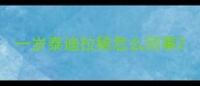 一岁泰迪拉稀怎么回事