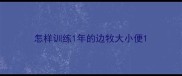 怎样训练1年的边牧大小便