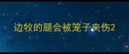 边牧的腿会被笼子夹伤