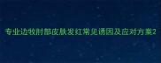 专业边牧肘部皮肤发红常见诱因及应对方案
