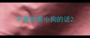 不要伤害小狗的话