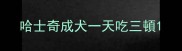 哈士奇成犬一天吃三頓