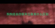 狗狗疫苗四联和五联有什么区别
