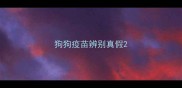 狗狗疫苗辨别真假