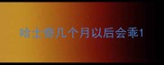 哈士奇几个月以后会乖