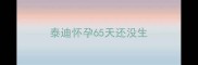 泰迪怀孕65天还没生