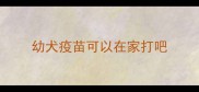 幼犬疫苗可以在家打吧
