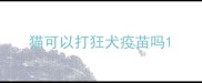 猫可以打狂犬疫苗吗