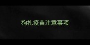 狗扎疫苗注意事项
