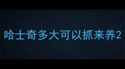 哈士奇多大可以抓来养